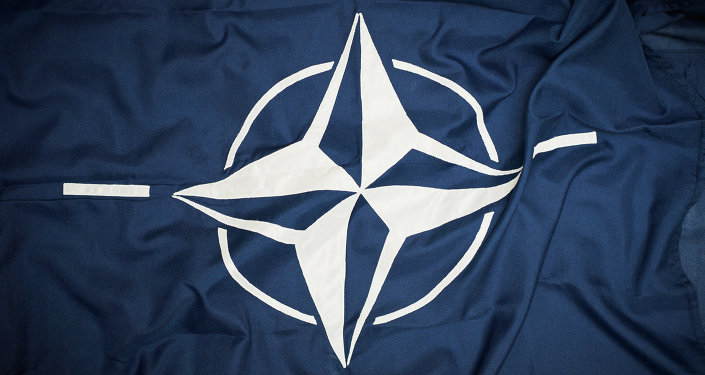 Un experto ruso cree que Georgia y Ucrania entrarán en la OTAN en un futuro próximo